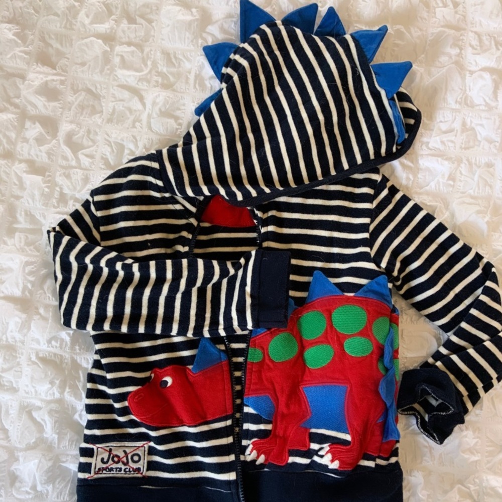 Dinosaur Hoodie Jacket